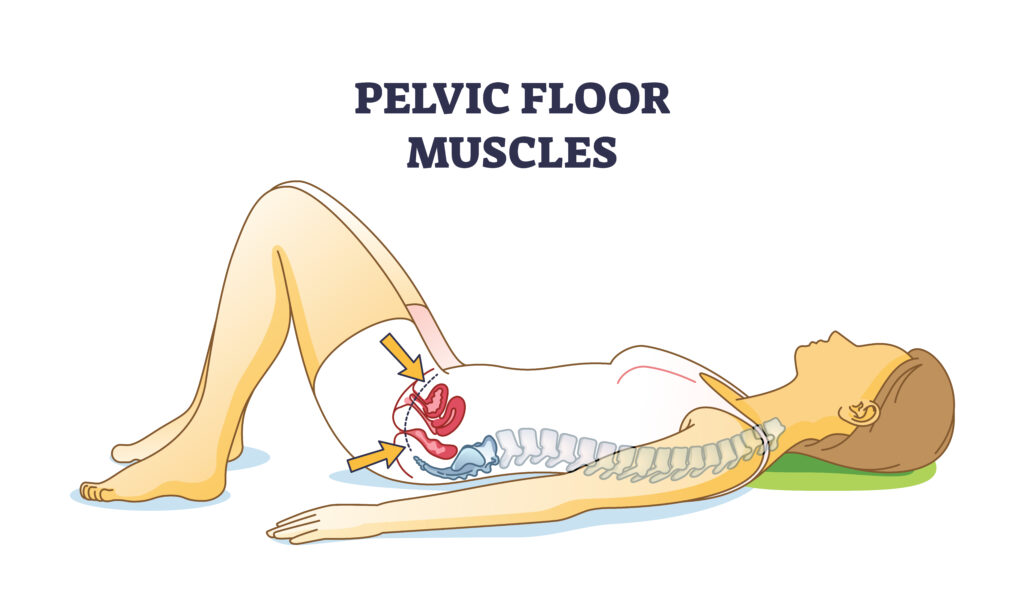 pelvic floor exercises kegels